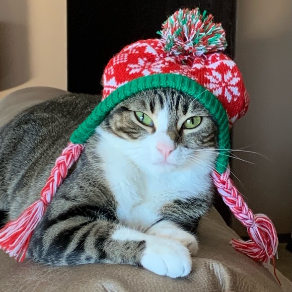 Meet your Posher, Lori - Picture 1 of 2